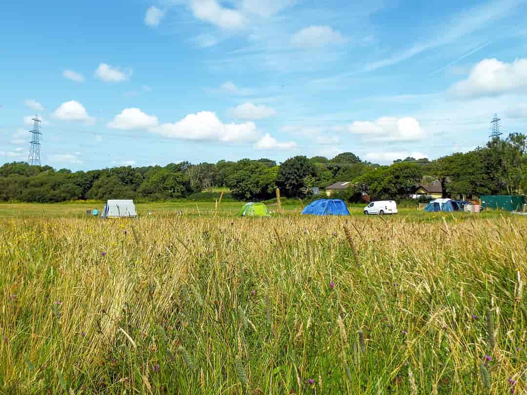 Covert Farm Camping: Pitches on site