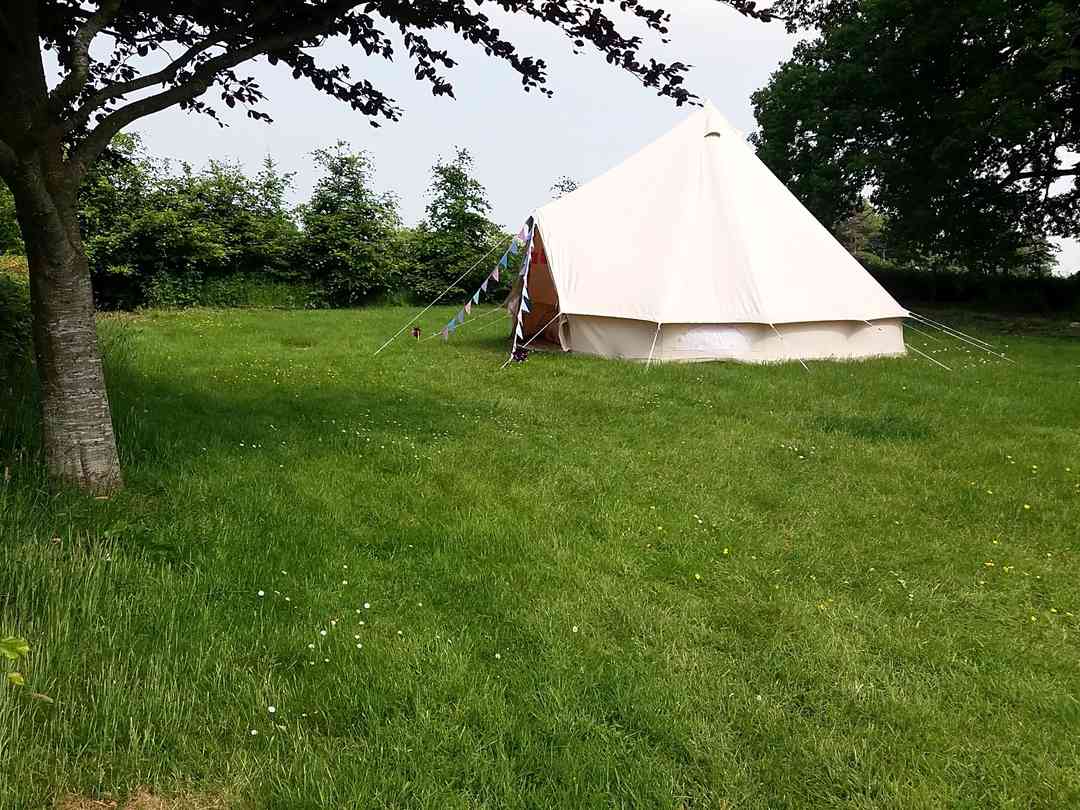 Find Cheap Tent Camping Sites In Kirkcudbright Dumfries And Galloway Pitchup