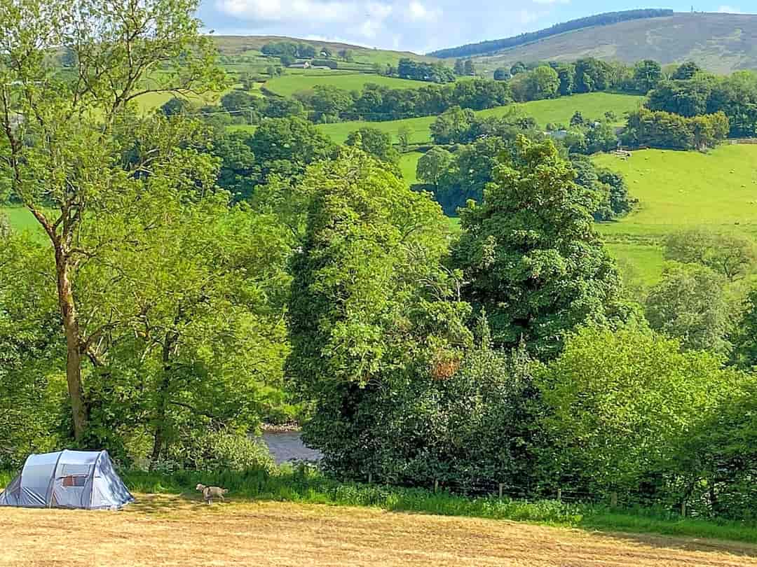 Sessile Oak Wild Camping: Visitor image of the furthest spot on the land is hidden treasure