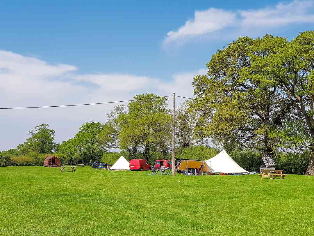 Pitch and Canvas