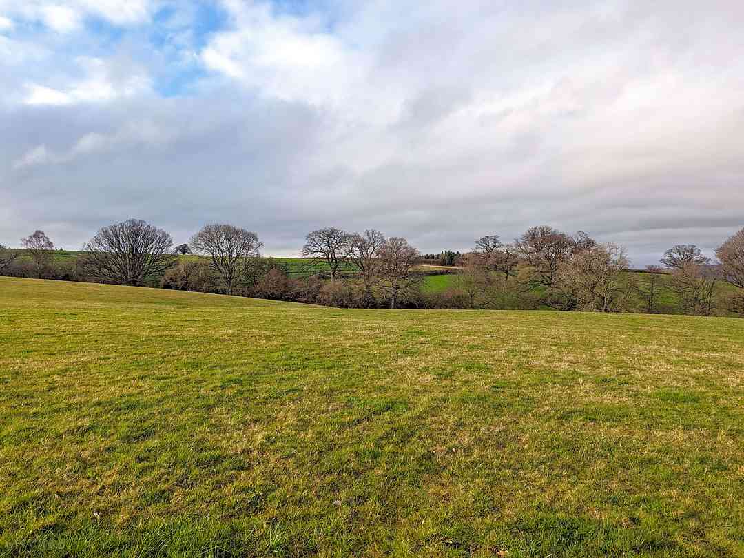 Monkhopton Meadow Camping: Wild camping (photo added by manager on 09/08/2023)
