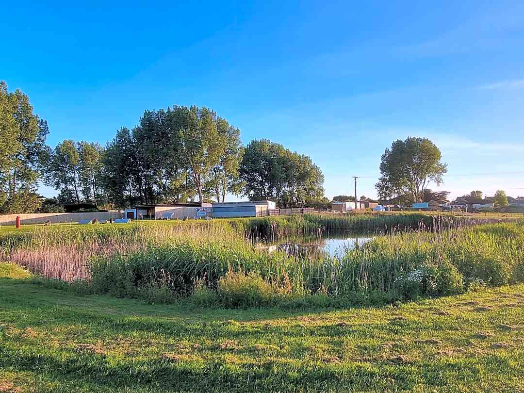 Little Tongues Leisure Park (фото добавлено менеджером 19.06.2022) Little Tongues Leisure Park (фото добавлено менеджером 19.06.2022)