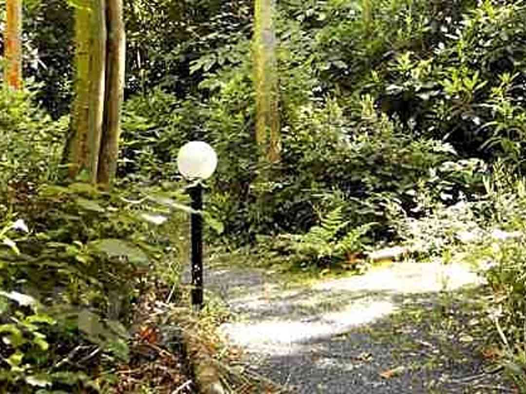 Senlac Wood Holiday Park Battle Pitchup