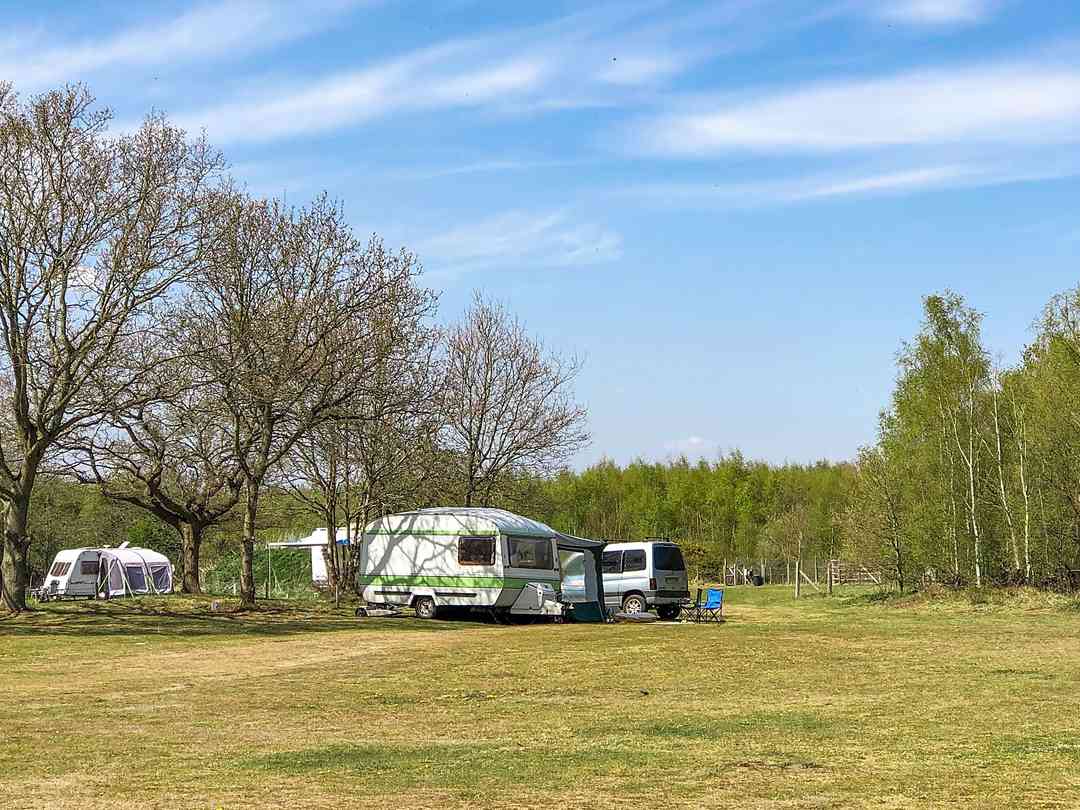 Lupine Woods Camping