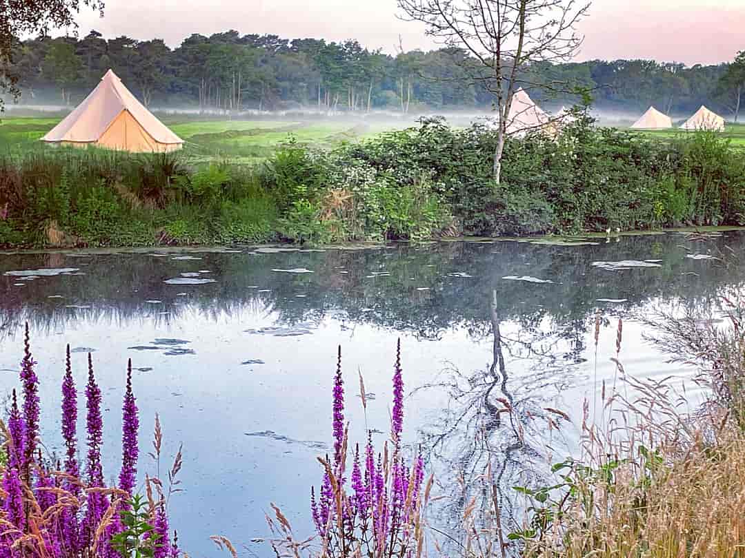 Misty Meadows: Tents by the river