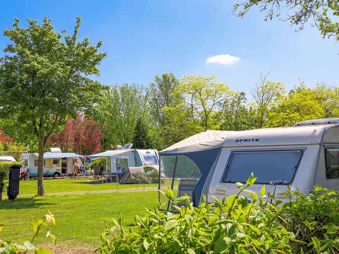 Vakantiepark Delftse Hout: Pitches