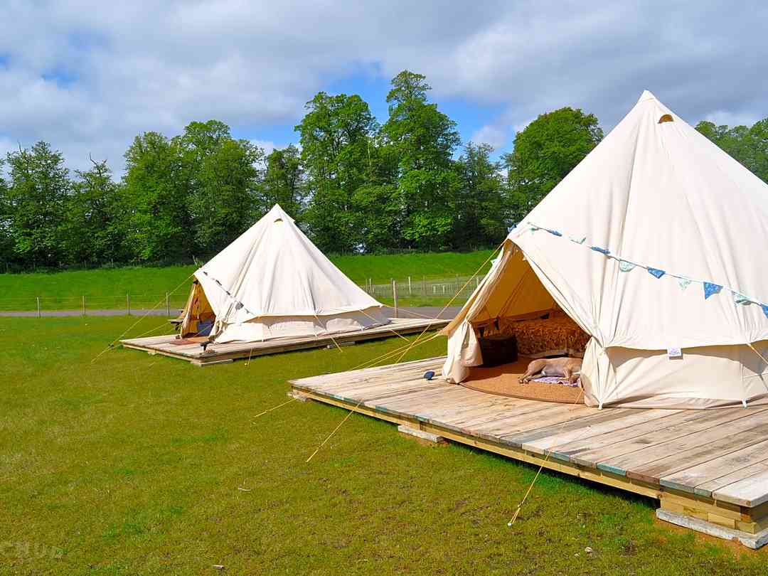 camping lowestoft tents camping lowestoft tents