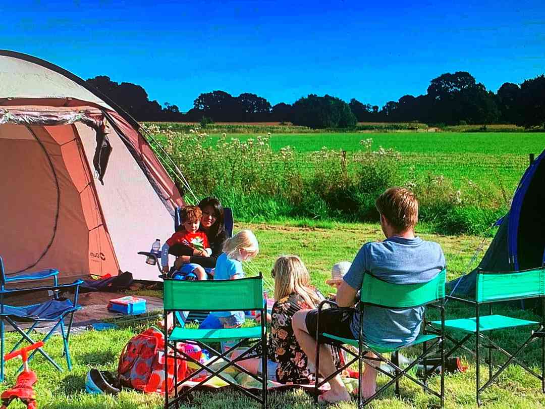 Dorset Forest Camping Moreton Pitchup