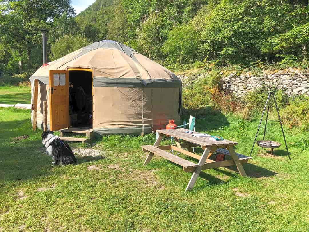 Inside Out Camping Yurts at Seatoller: Visitor image of the site and yurt