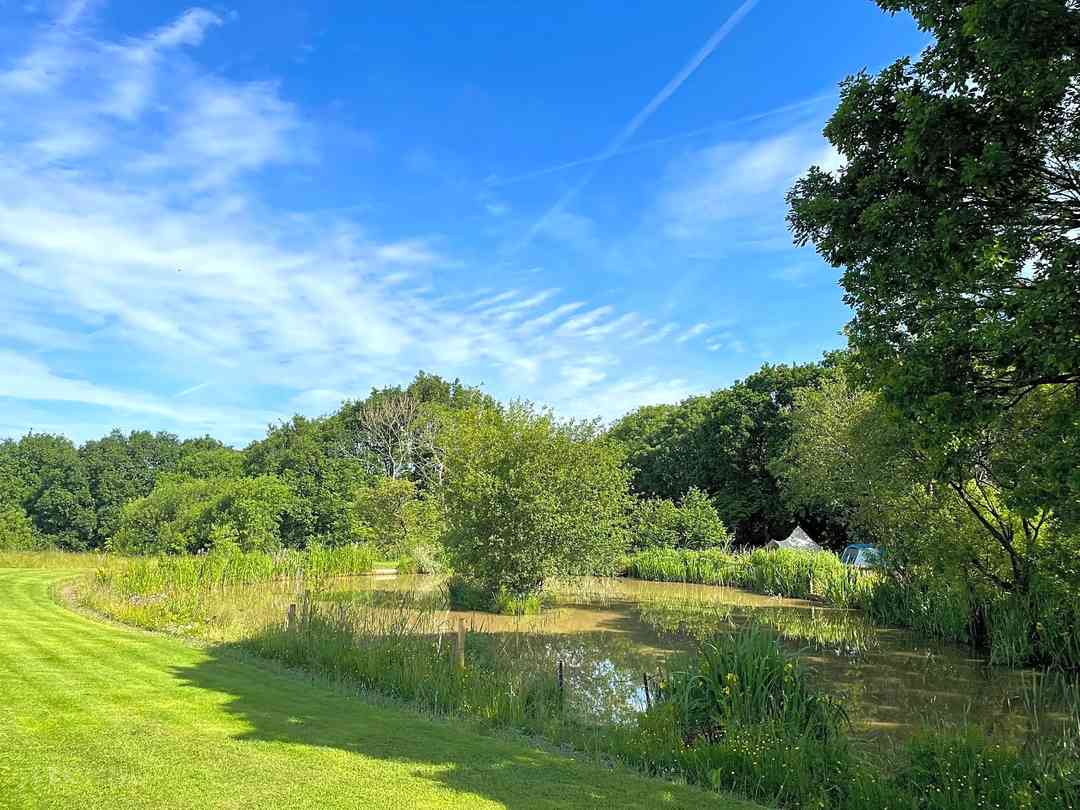Elizabeth Cottage Camping