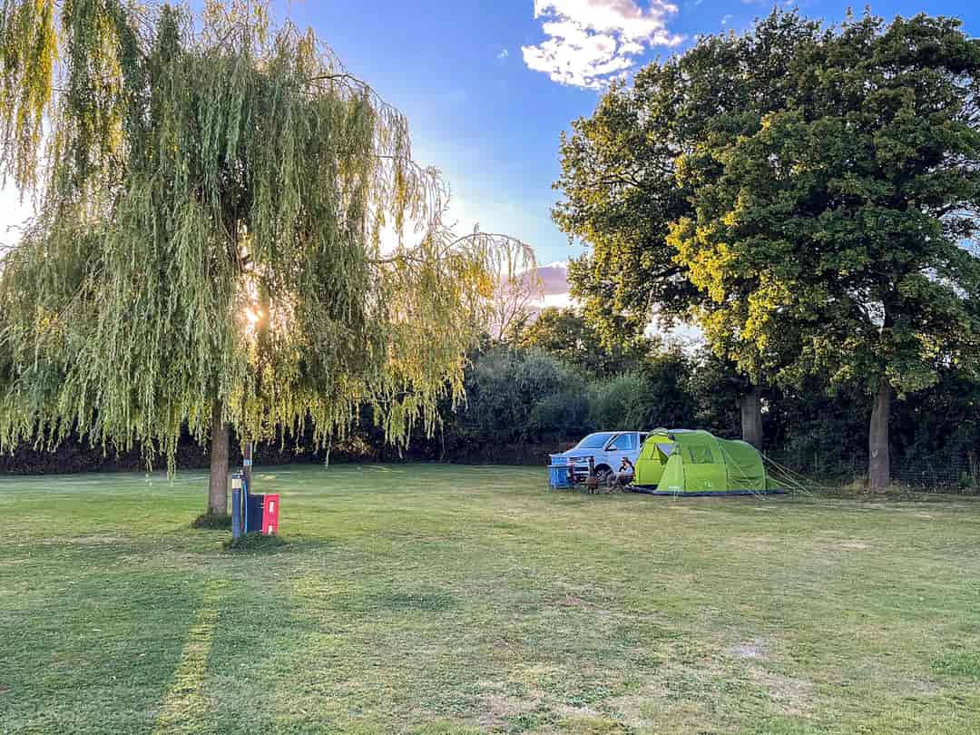 The Willows: Grass pitches