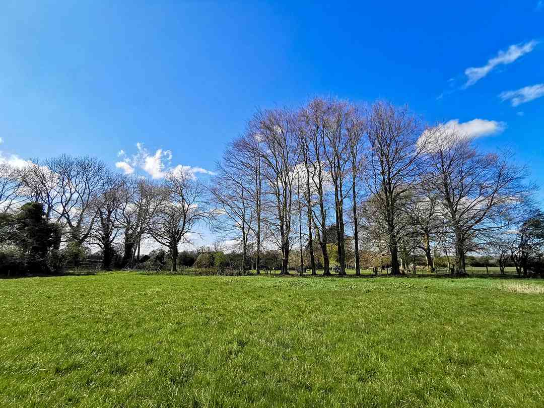 Chettle Campsite