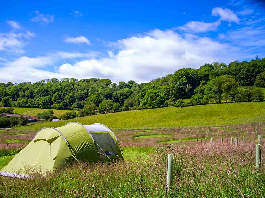 Prospect House Farm Campsite (fotot lades till av föreståndaren 2024-06-24) Prospect House Farm Campsite (fotot lades till av föreståndaren 2024-06-24)