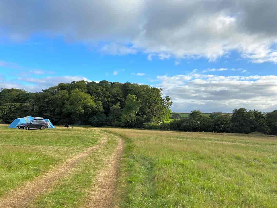 Benville Manor Camping: Ample space (photo added by  on 27/08/2020)