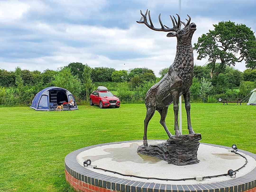 Sunny Side Touring Park