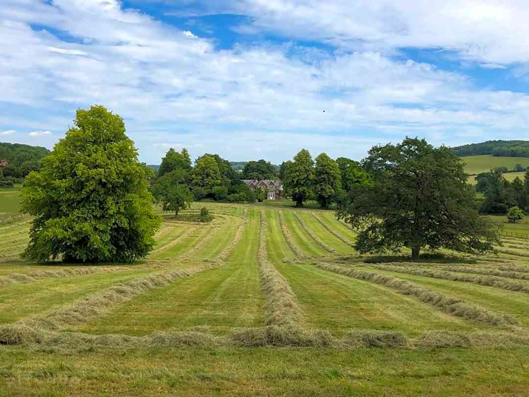Camping field (photo added by manager on 11/05/2023) Lordington Park: Camping field (photo added by manager on 11/05/2023)