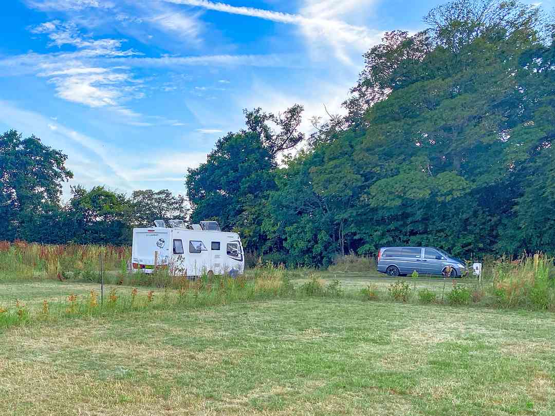 Black Barn Farm: Grass pitches (photo added by manager on 08/08/2022)