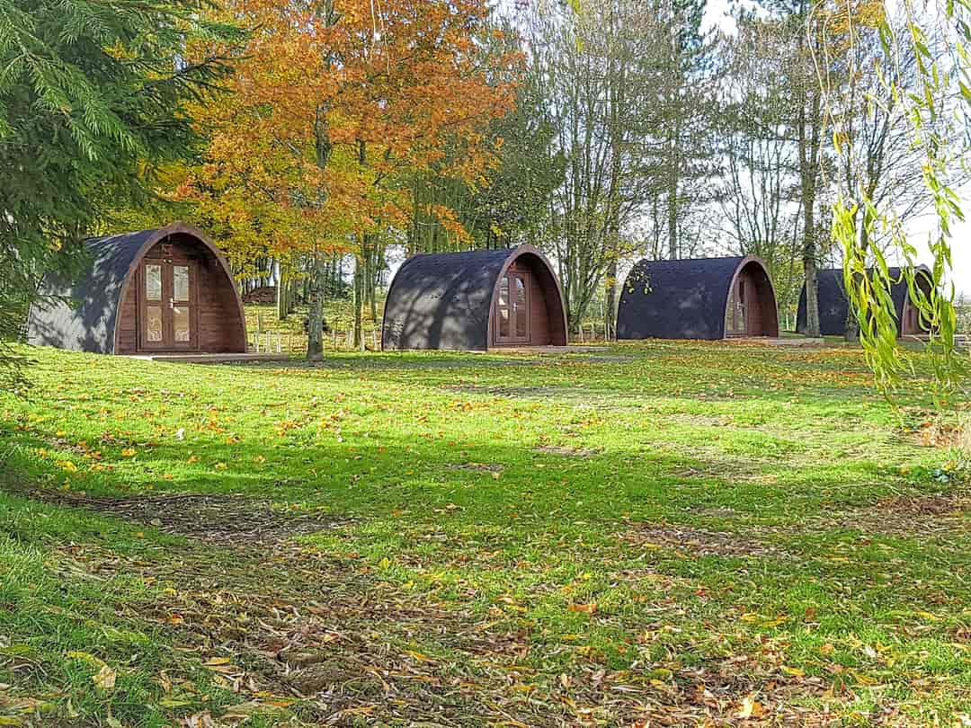 Hanworth Country Park: Camping Pods