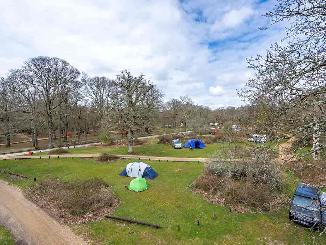 Hollands Wood Caravan and Campsite: Grass pitches (photo added by manager on 31/01/2023)