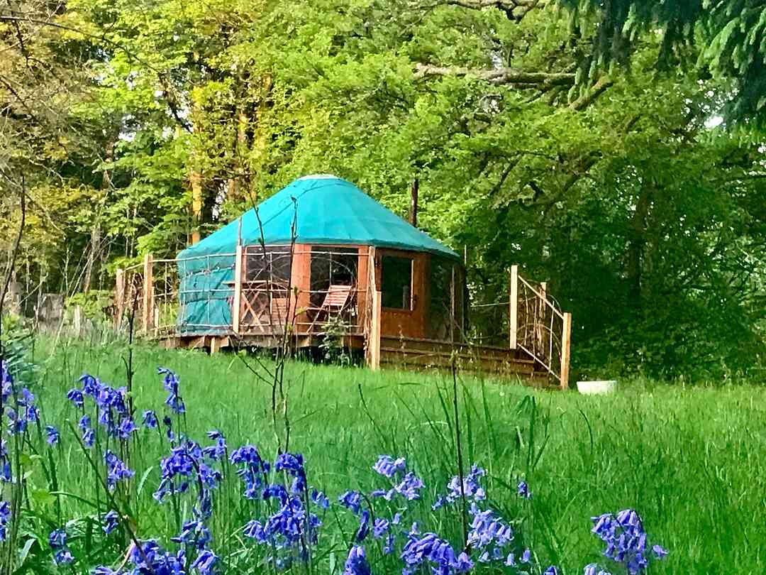 Organic Welltree (fotot lades till av föreståndaren 2025-09-23) Organic Welltree (fotot lades till av föreståndaren 2025-09-23)