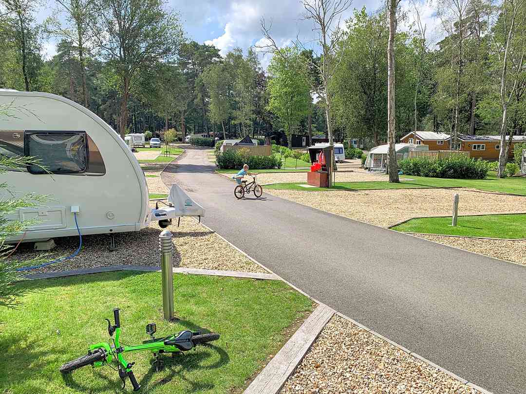 California Chalet and Touring Park: Hardstanding pitches on site