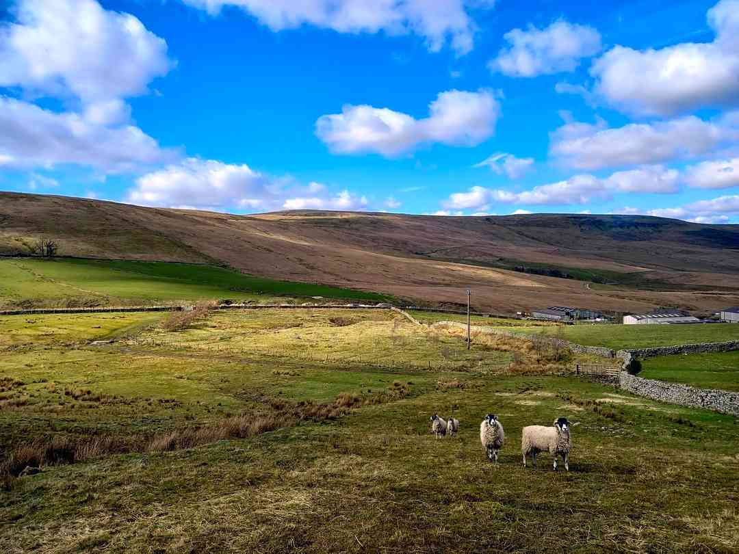 Red Shaw Farm Camping, Hawes Prezzi 2023 aggiornati