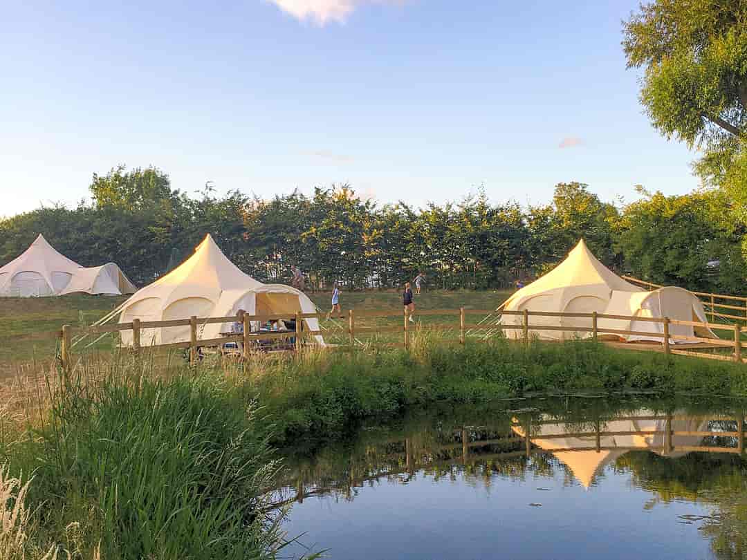 Hill Farm Caravan and Camping Site: Bell tents (photo added by manager on 09/08/2022)