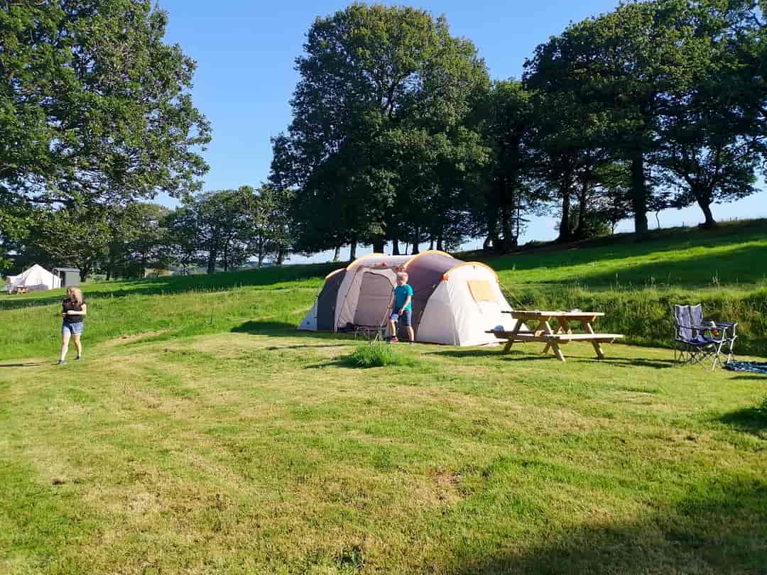 Sydeham Farm Glamping: Not your avarage campsite!