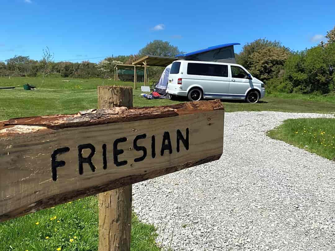Horseshoe Camping: Campervan Pitch