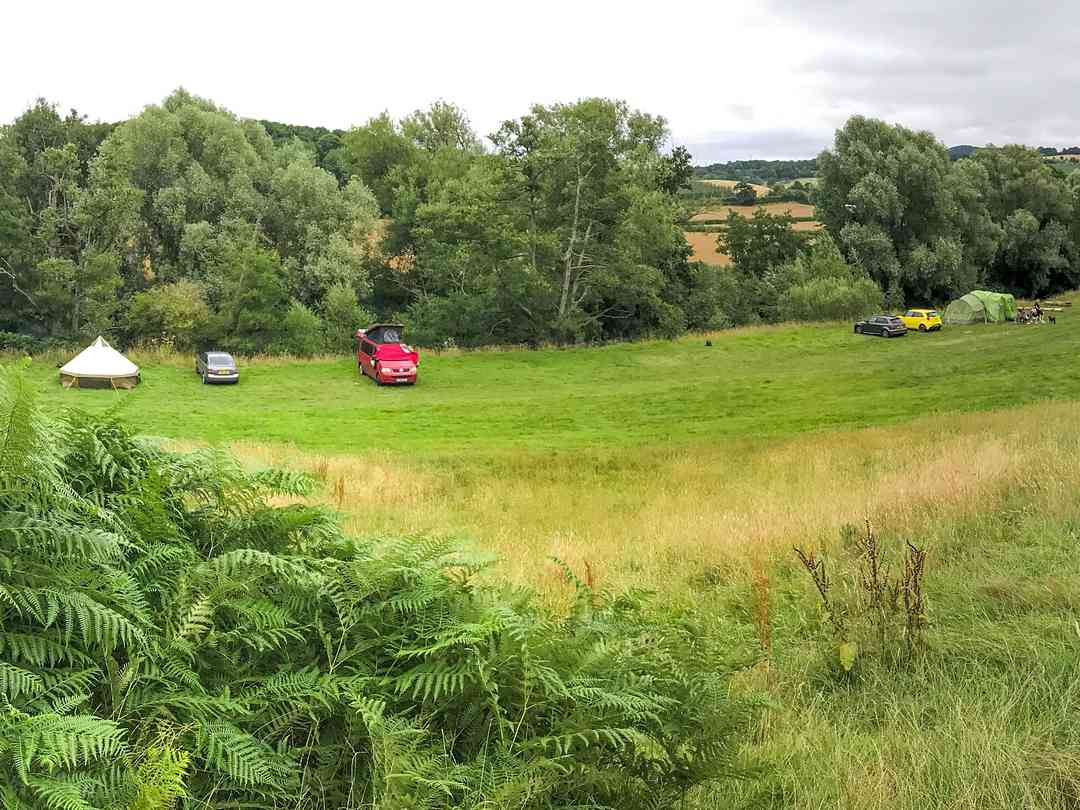 Orleton Court Farm