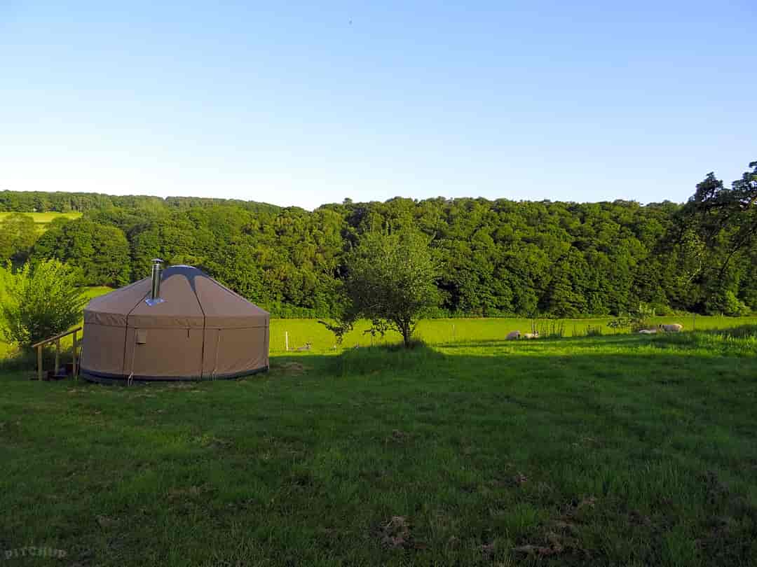 Willey Lane Farm: New yurts at Willey Lane Farm