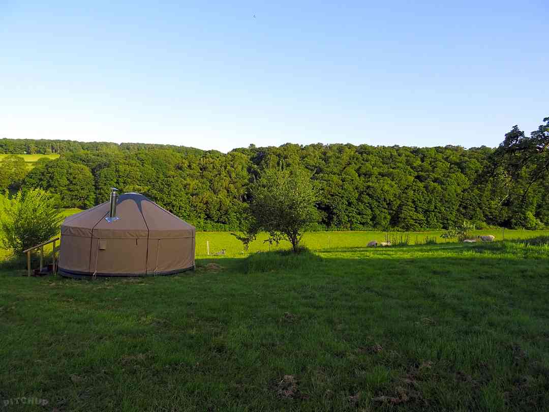 Willey Lane Farm: New yurts at Willey Lane Farm