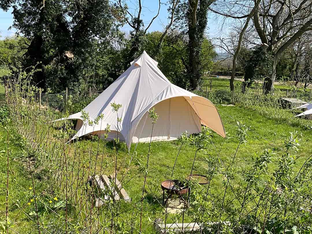The Wildings Campsite: Our star bell tents sit in their own pitches surrounded by our willow fencing