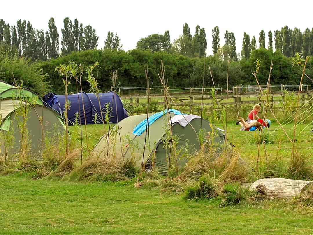 Green Haven Camping: Peaceful site