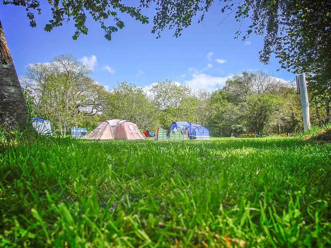 Riverside Camping (фото добавлено менеджером 25.11.2022)