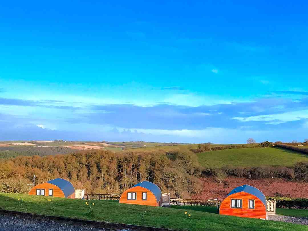 The Oaks Holiday Park: View of the pods