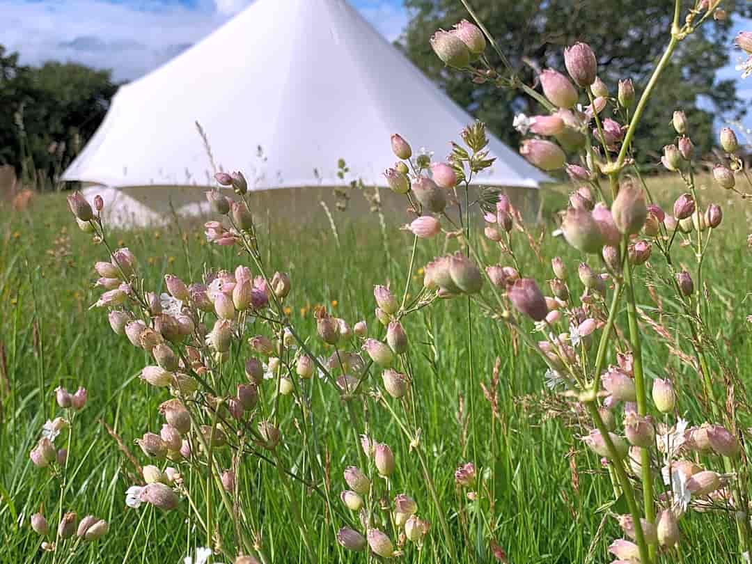 Oak Lodge Glamping: Six-metre tent