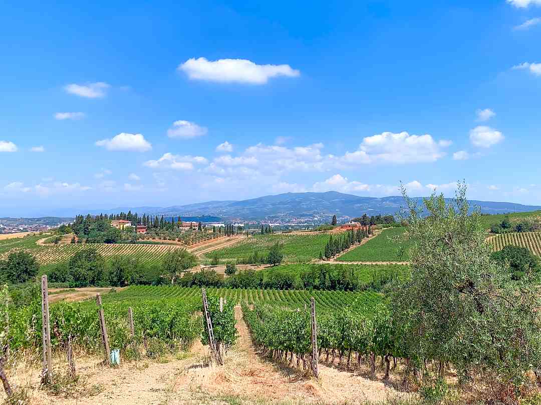 Montaioncino (fotografie přidána správcem na 13.10.2022) Montaioncino (fotografie přidána správcem na 13.10.2022)