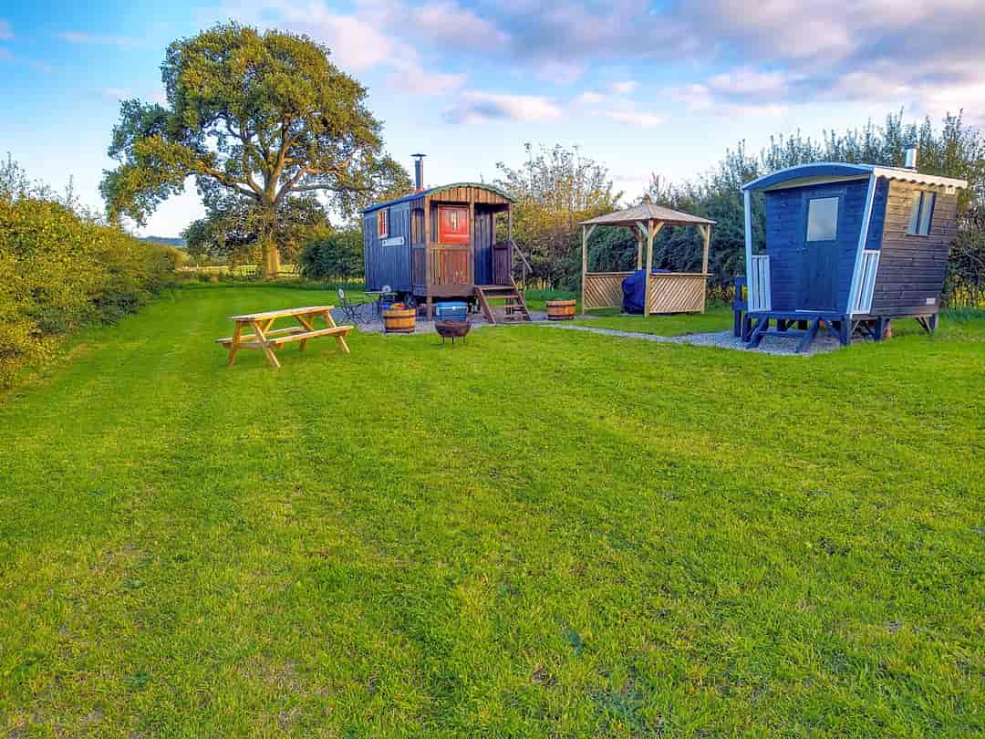 The Shepherd's Loft: Shepherd's hut set in its own private paddock (photo added by manager on 20/09/2022)