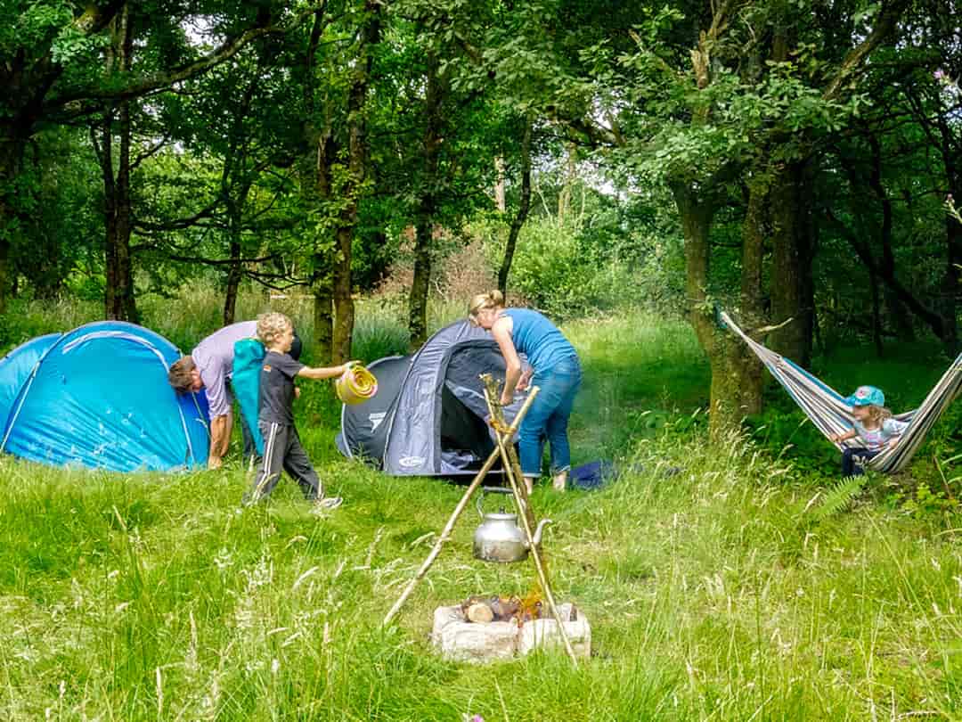 Westdown Farm Camping