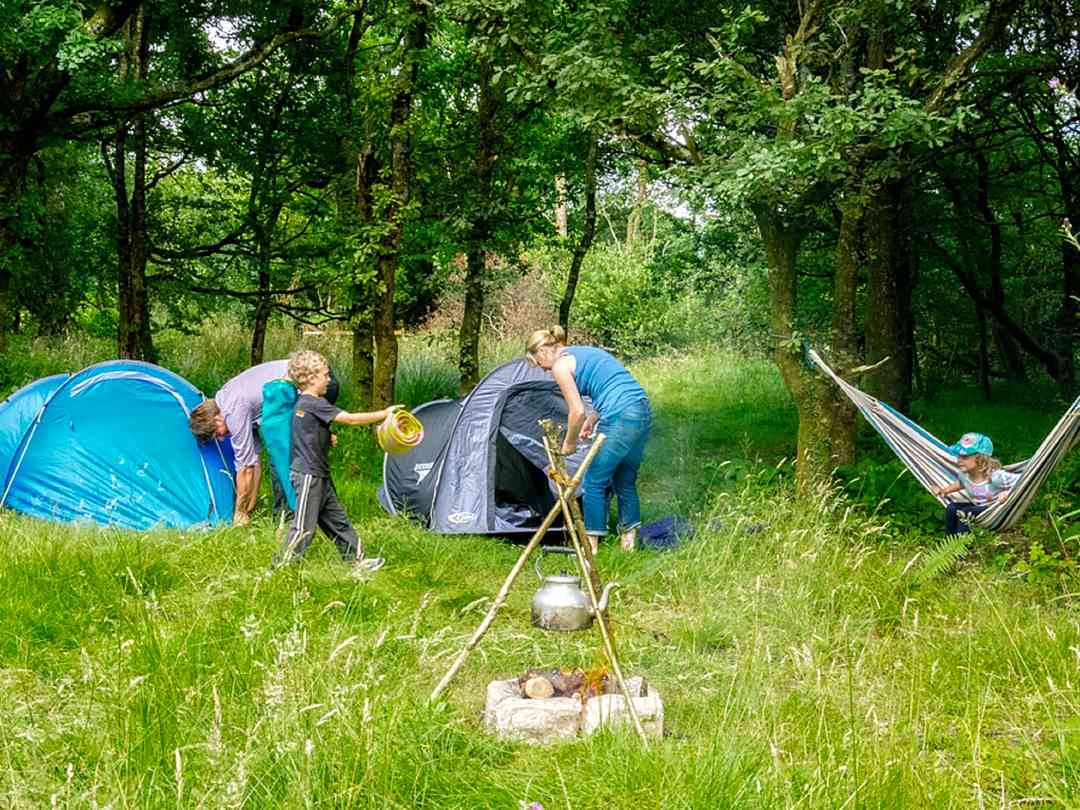 Wild Camping Holiday Parks And Campsites Campsites On Pitchup