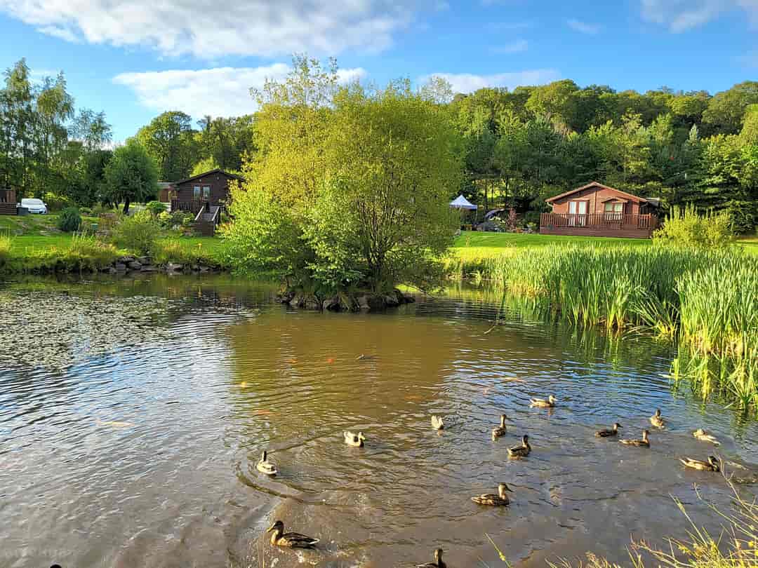 Trossachs Holiday Park: Gorgeous pond