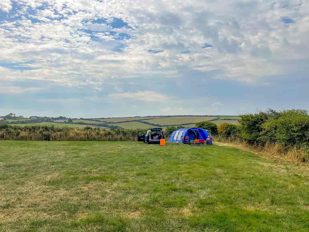 Tregragon Farm Camping: Visitor image of pitches on site