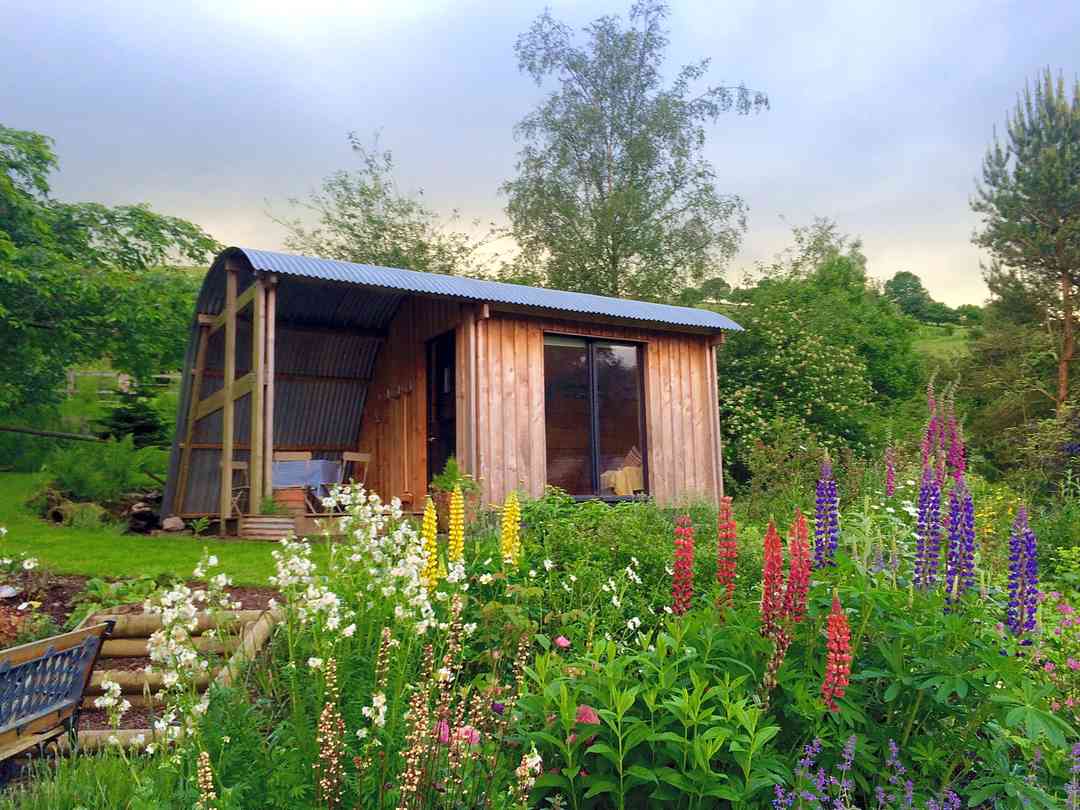 Brandy House Farm: Flowers blooming in the garden (photo added by manager on 03/09/2016)