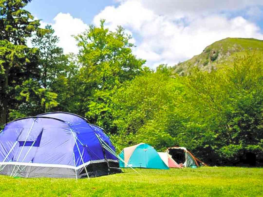 Rydal Hall Campsite: Grass pitches (photo added by manager on 08/22/2022)