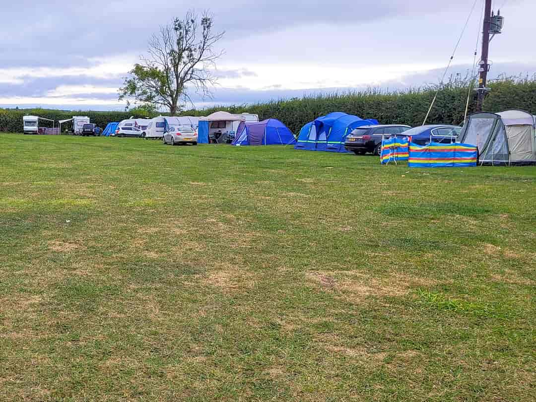 Nawton Grange Camping and Caravan Park: Grass pitches