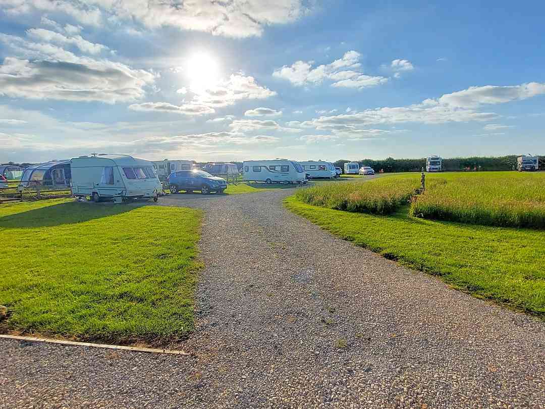 Venus Campsite