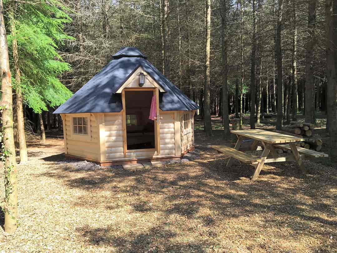 Ashbourne Woods: Pine hut