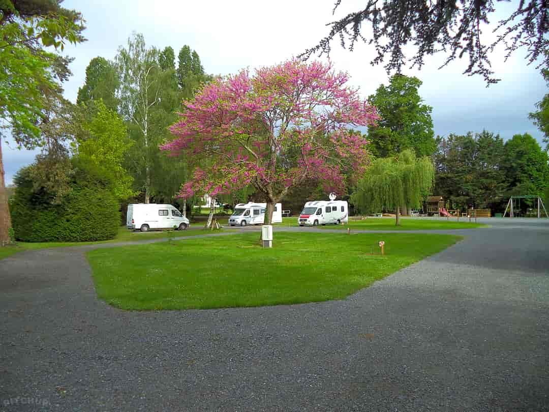 Camping du Moulin de la Gassotte: Trees around the pitches