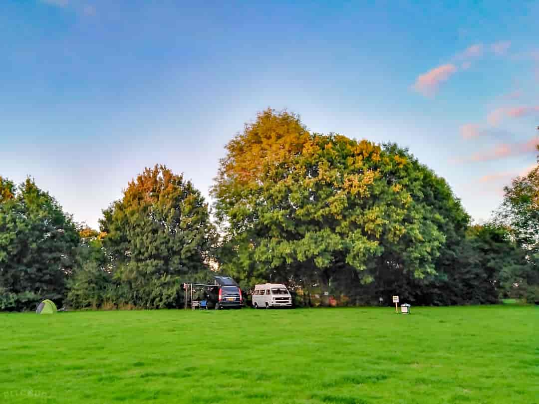 The Blue Ship: Grassy pitches lined with trees